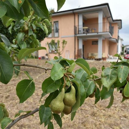Natour L'Ostello Per I Camminatori Баришано Экстерьер фото