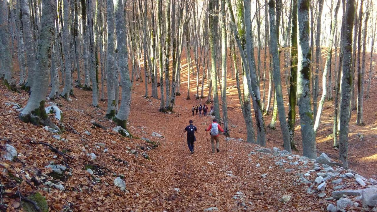 Natour L'Ostello Per I Camminatori Баришано Экстерьер фото